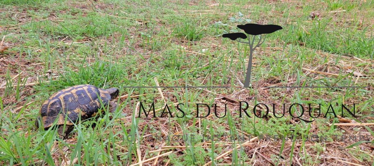 Le Mas Du Rouquan Vidauban Buitenkant foto